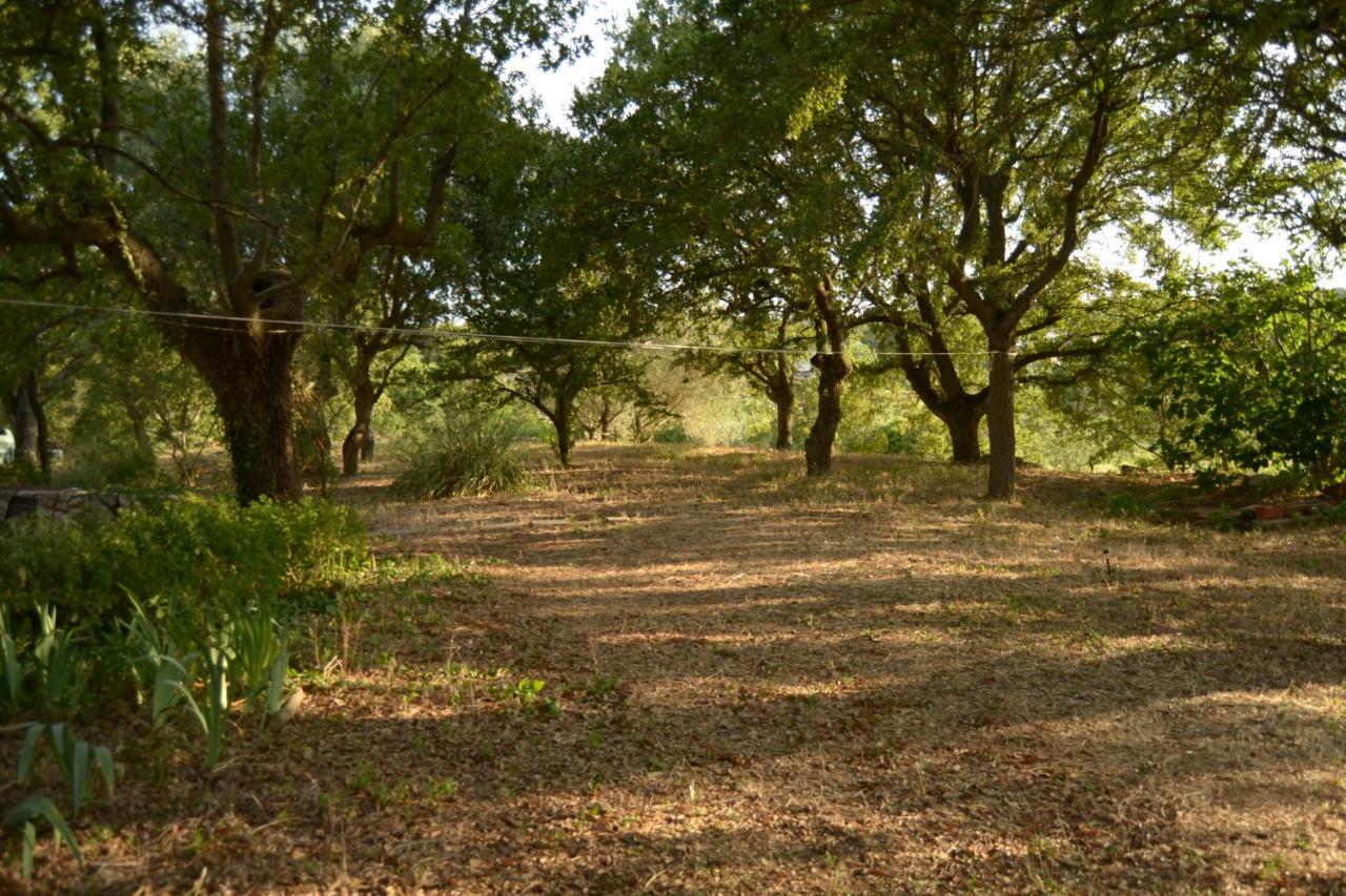 בית הארחה לוקורוטונדו 	Par Tot מראה חיצוני תמונה